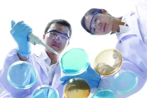 1586309412166959.jpg 1586309412166959.jpg